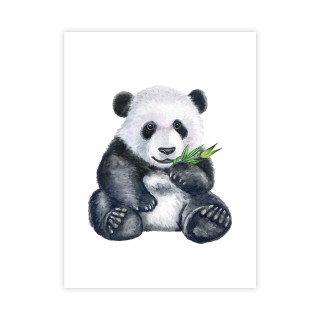 Plakat panda 30x40 cm