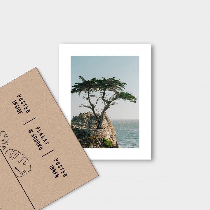 Drzewo Przy Morzu Plakat