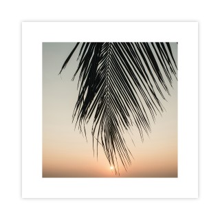 Plakat zachód słońca - liść palmy 20x20 cm