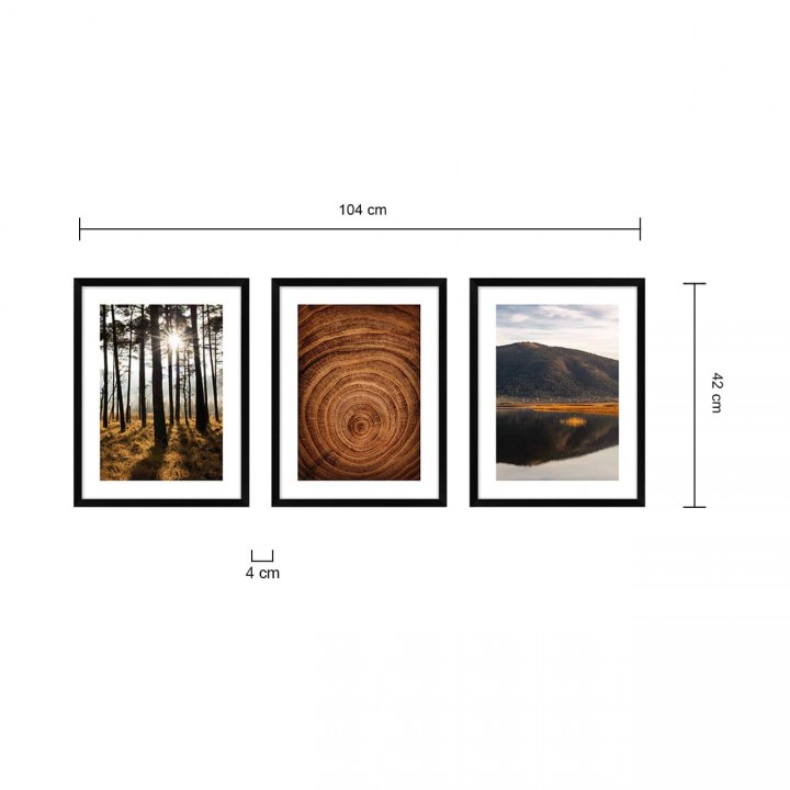 Zestaw obrazów las 104x42 cm