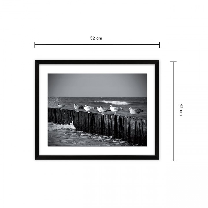 Obraz 40x50 Mewy czarno-biały