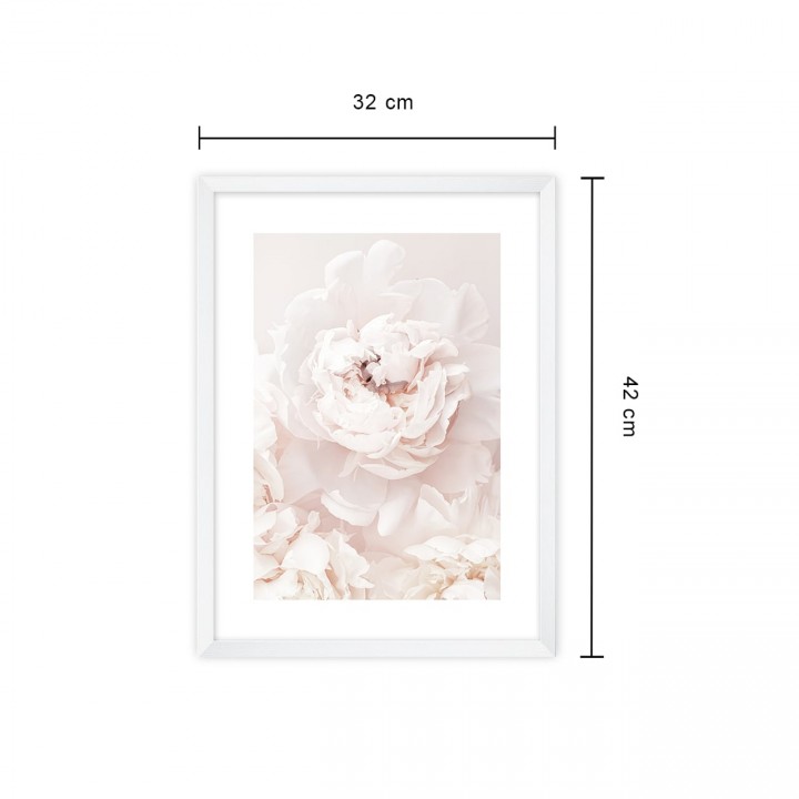 Obraz kwiat 32x42 cm w białej ramie