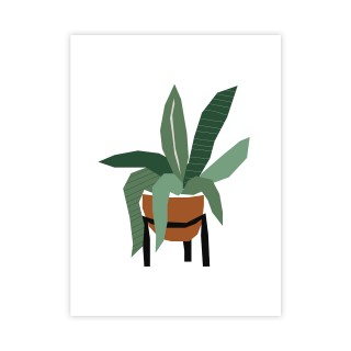 Plakat roślina w doniczce grafika 30x40