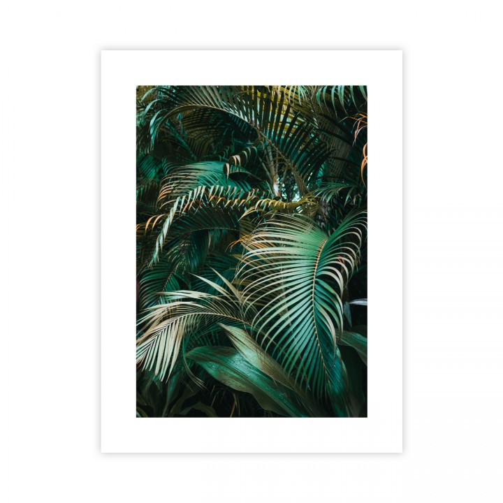 Liście Palmowe Plakat