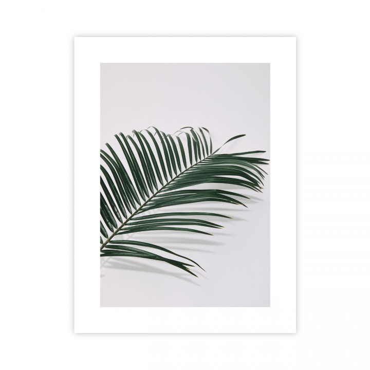 Plakat liść palmowy 30x40 cm
