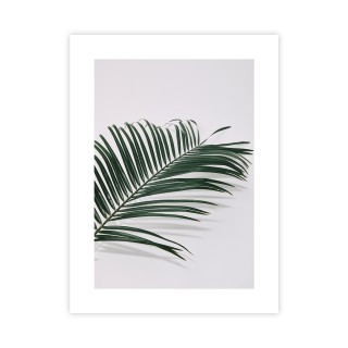 Plakat liść palmowy 30x40 cm