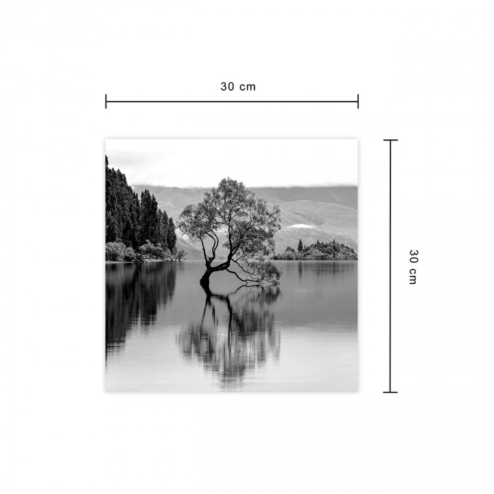 Obraz 30x30 drzewo na jeziorze