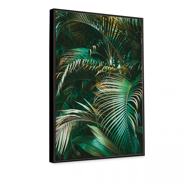 Obraz liście palmy 49x69 cm