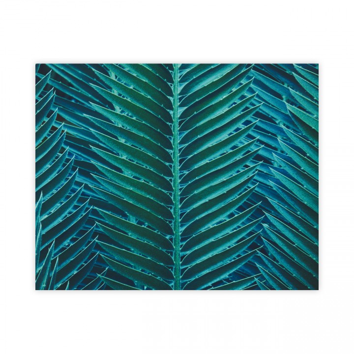 Plakat turkusowe liście 40x50 cm